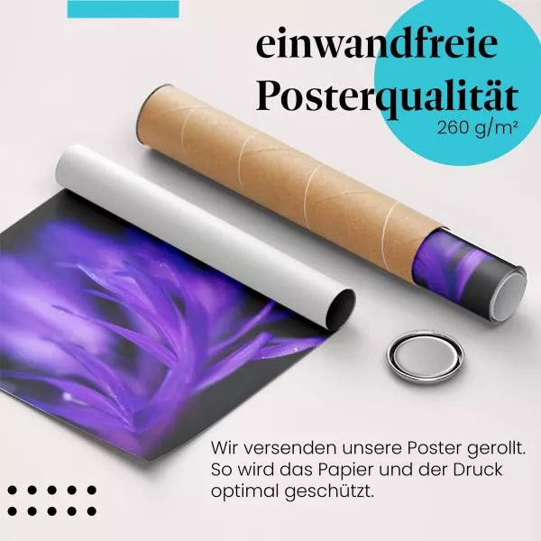 Lila Blütenpracht | Postereck 2773 Lila Blütenpracht | Postereck 2773