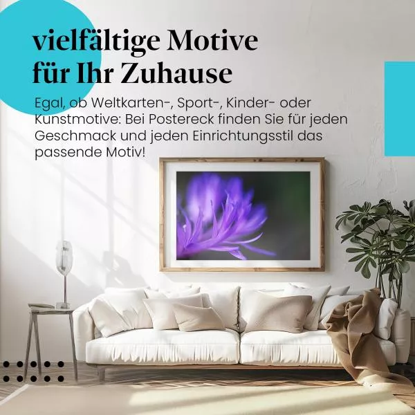Lila Blütenpracht | Postereck 2773 Lila Blütenpracht | Postereck 2773