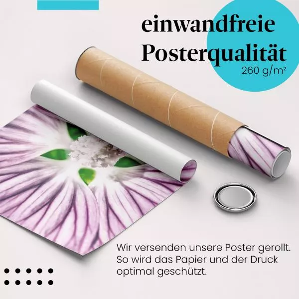 Blütentraum: Lila Blüte | Postereck 1347 Blütentraum: Lila Blüte | Postereck 1347