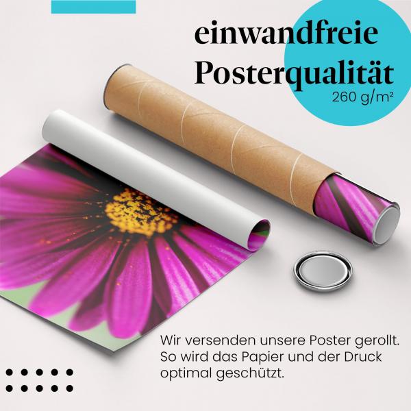 "Lila Blume": Gerolltes Poster, Blüte, Pracht.