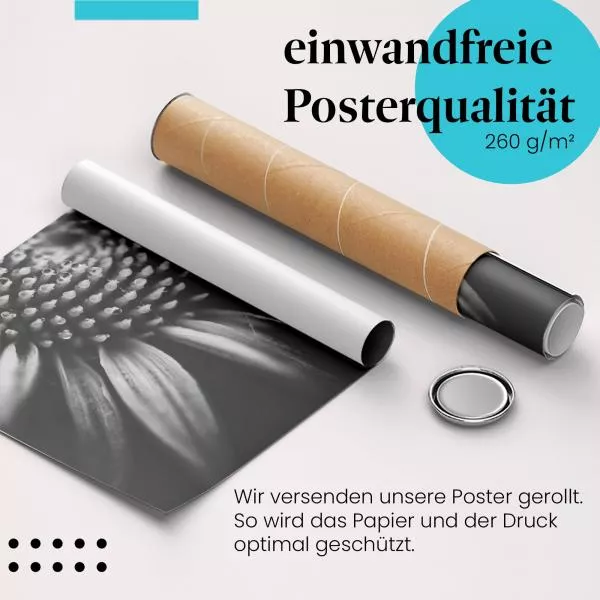 Blume in Schwarz-Weiß | Postereck 4017 Blume in Schwarz-Weiß | Postereck 4017