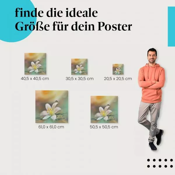Tautropfen-Makro | Postereck 2884 Tautropfen-Makro | Postereck 2884