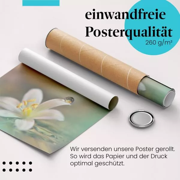 Tautropfen-Makro | Postereck 2884 Tautropfen-Makro | Postereck 2884
