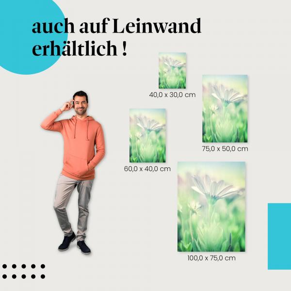 Leinwandbild "Zarte Schönheit": Zarte Farben & Formen der Natur