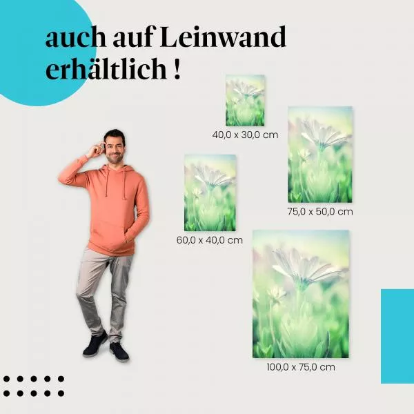 Blume in Pastell: Zarte Schönheit | Postereck 1298 Blume in Pastell: Zarte Schönheit | Postereck 1298