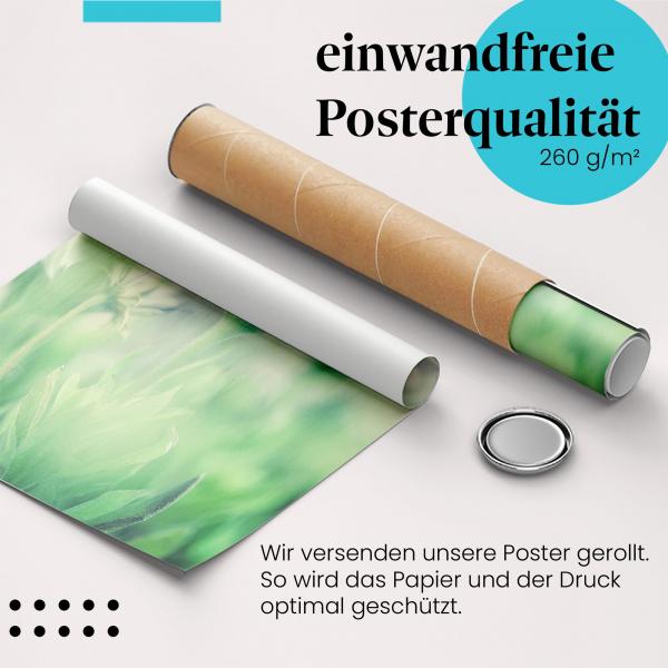 "Blume": Gerolltes Poster - Pastell, Schönheit, zart.