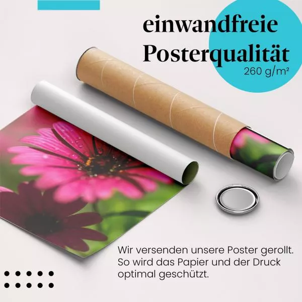 Leuchtende Schönheit: Pinke Blume | Postereck 1372 Leuchtende Schönheit: Pinke Blume | Postereck 1372