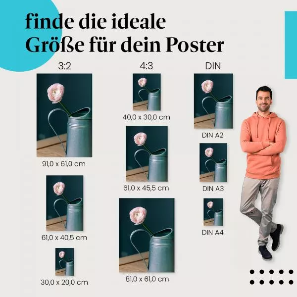 Ranunkel | Postereck 3666 Ranunkel | Postereck 3666