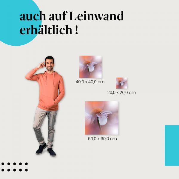 Blume, Leinwandbild: Makro, Tautropfen.