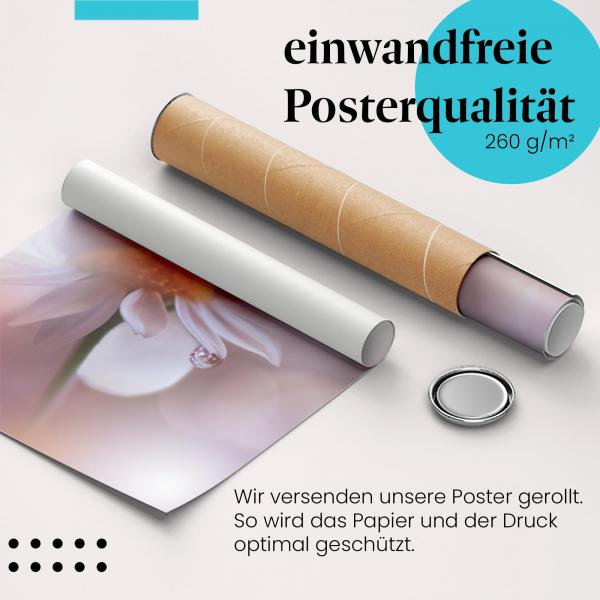 Gerolltes Poster "Blume & Tautropfen" - Natur & Zartheit, sicher verpackt.
