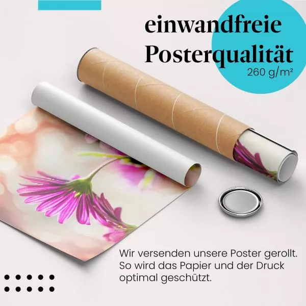 Zarte Eleganz: Pinke Blumen | Postereck 1374 Zarte Eleganz: Pinke Blumen | Postereck 1374