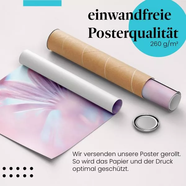 Blütenmeer: Pinke Blütenpracht | Postereck 1384 Blütenmeer: Pinke Blütenpracht | Postereck 1384
