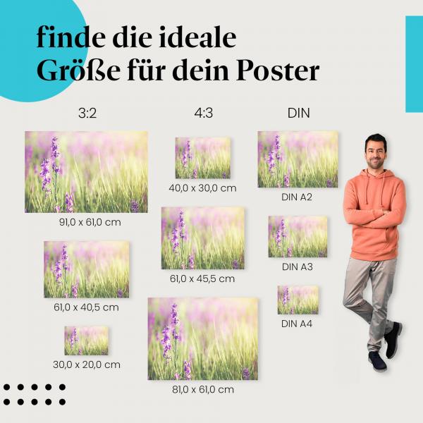 Lila Blüten, Poster: Wiese, Sonnenlicht, magische Stimmung.
