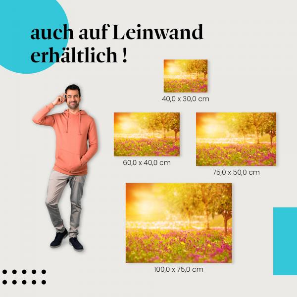 Leinwandbild "Sonnenuntergang über blühender Wiese": Natur & Romantik