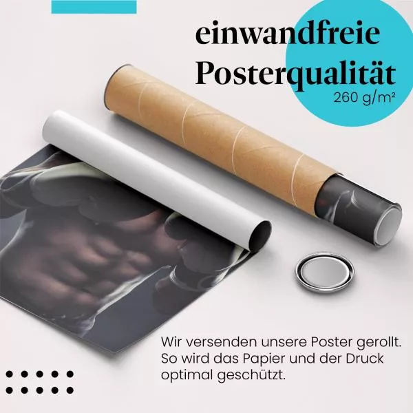 Boxer | Postereck 3161 Boxer | Postereck 3161