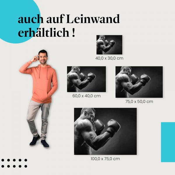 Boxer: Leinwandbild. Schatten, Kampfhaltung.