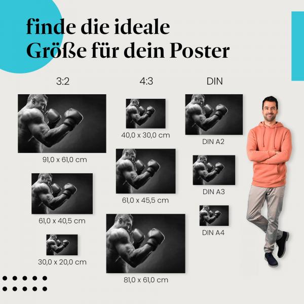 Boxer, Poster: Schatten, Kampfhaltung.