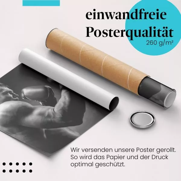 Boxer | Postereck 3457 Boxer | Postereck 3457