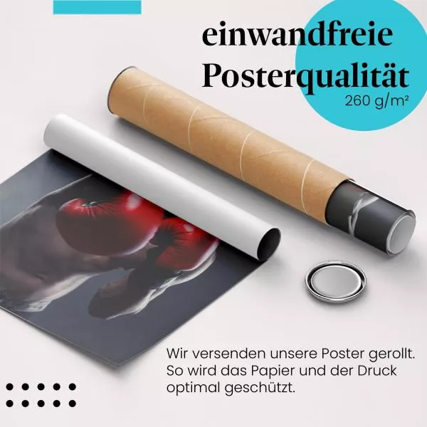 Boxer im Ring | Postereck 3458 Boxer im Ring | Postereck 3458