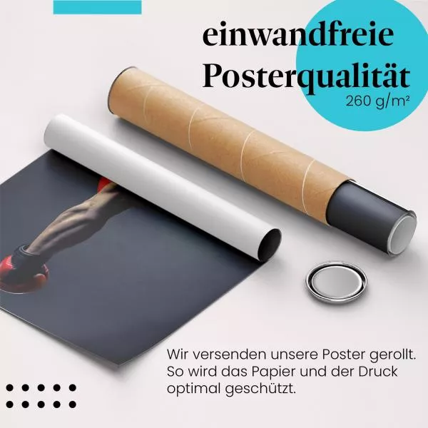 Boxer | Postereck 3466 Boxer | Postereck 3466
