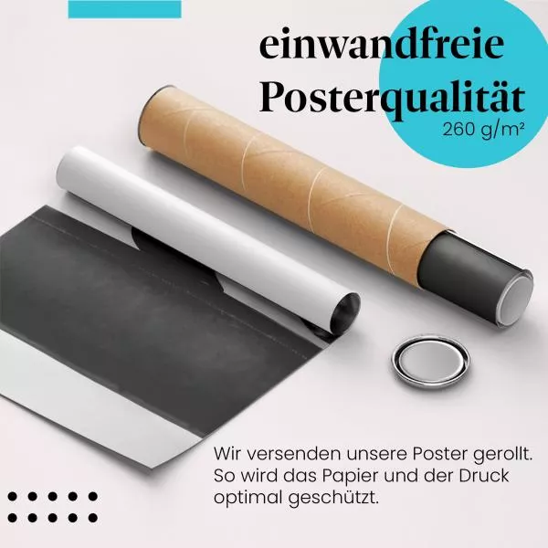 Boxerin: Training & Power | Postereck 0858 Boxerin: Training & Power | Postereck 0858