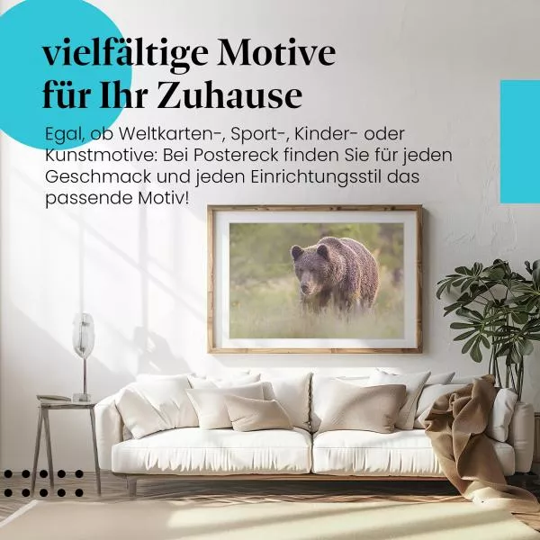 Braunbär auf der Wiese | Postereck 3501 Braunbär auf der Wiese | Postereck 3501