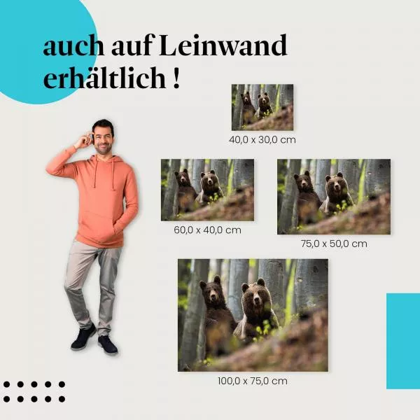 Braunbären im Frühling | Postereck 3876 Braunbären im Frühling | Postereck 3876
