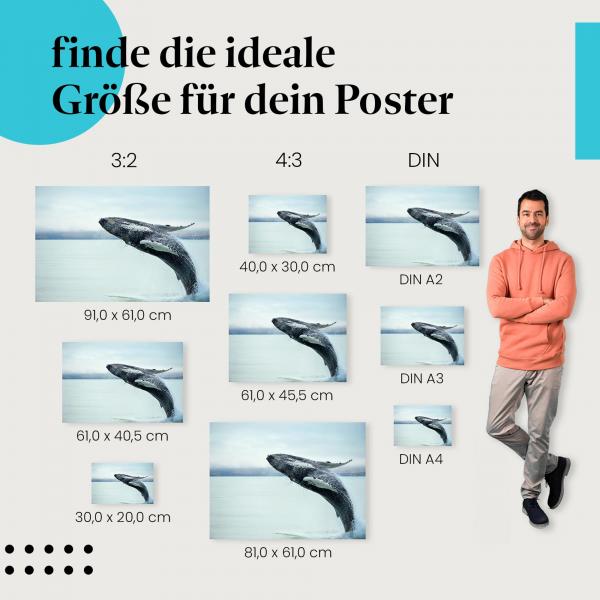 Wähle die ideale Postergröße: Buckelwal springt aus dem Wasser.