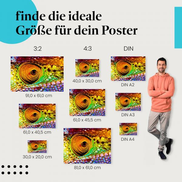 Makroaufnahme: "Farbenpracht" - Poster mit schillerndem Chamäleon-Auge