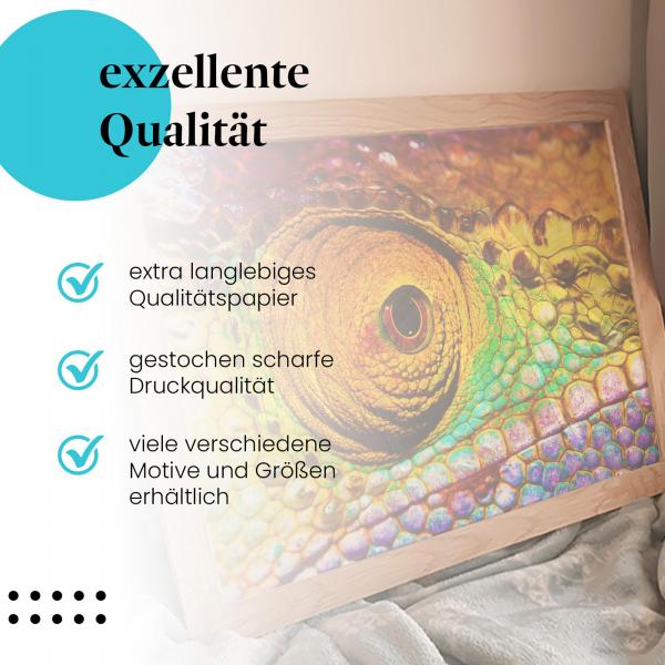 "Farbenpracht": Gerahmtes Wandbild - Das Auge eines Chamäleons.