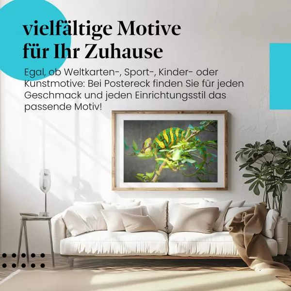 Chamäleon | Postereck 3934