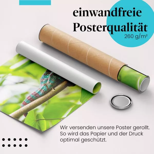 Chamäleon | Postereck 3731 Chamäleon | Postereck 3731