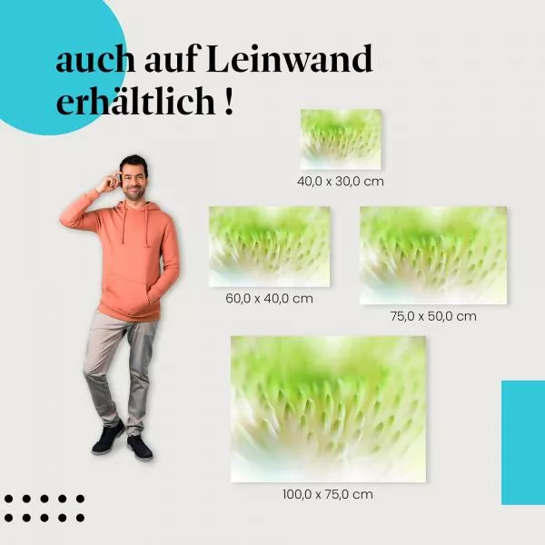 Chrysantheme | Postereck 3799 Chrysantheme | Postereck 3799