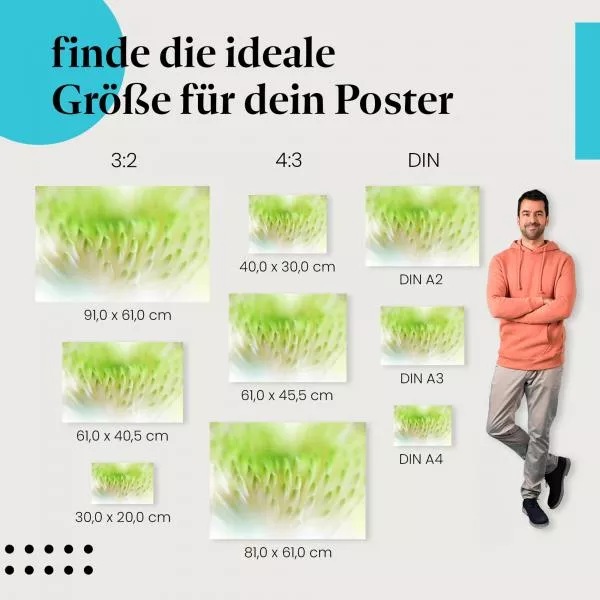Chrysantheme | Postereck 3799 Chrysantheme | Postereck 3799