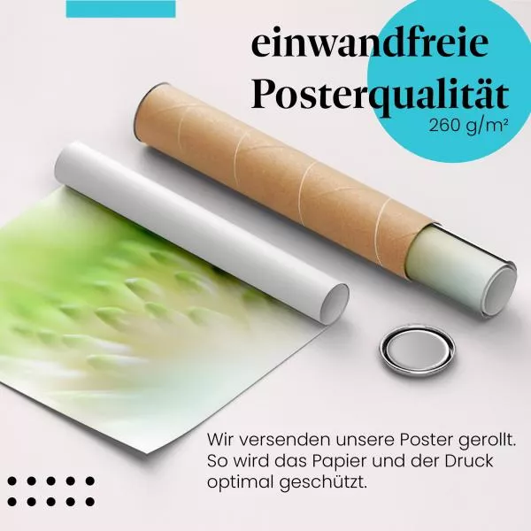 Chrysantheme | Postereck 3799 Chrysantheme | Postereck 3799