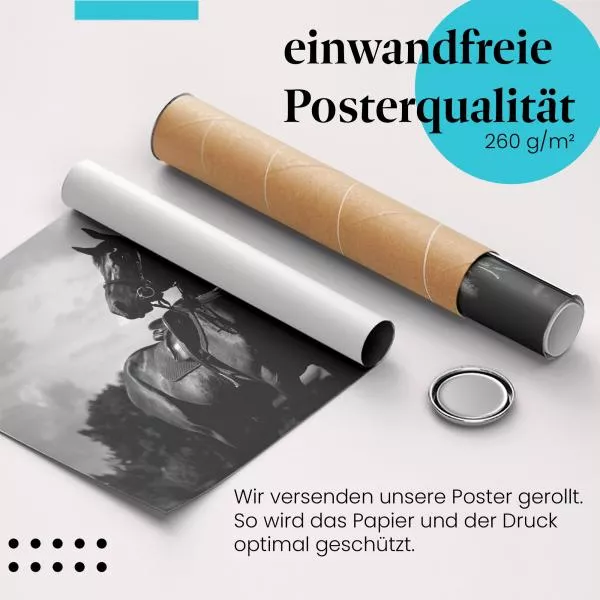 Cowboy & sein Pferd: Verbundenheit | Postereck 1135 Cowboy & sein Pferd: Verbundenheit | Postereck 1135