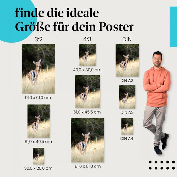 Damhirschkuh, Poster: Gras, geflecktes Fell.