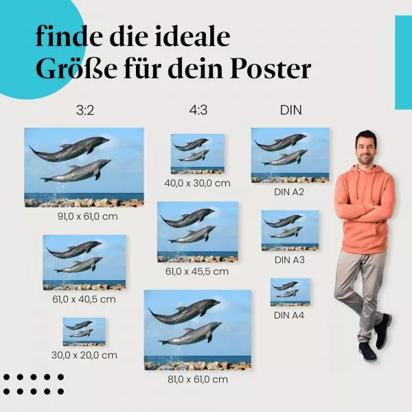 Verspielte Delfine: Freude im Ozean | Postereck 0206 Verspielte Delfine: Freude im Ozean | Postereck 0206