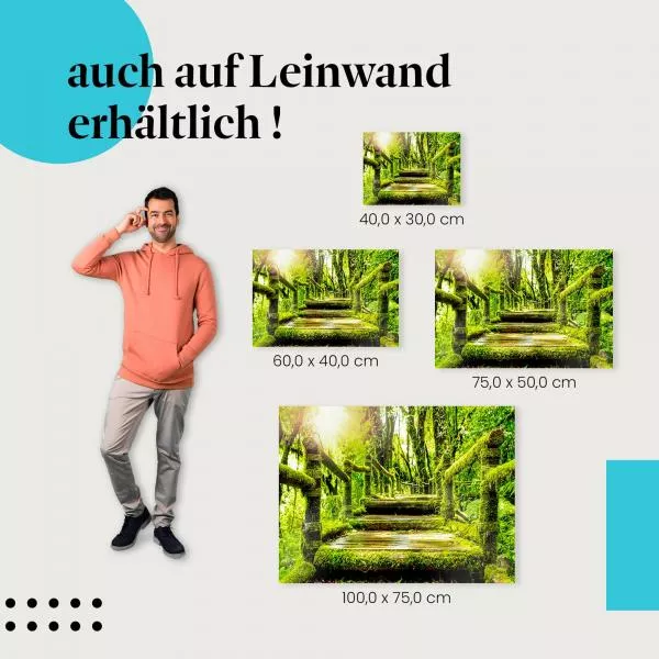 Regenwaldpfad | Postereck 3255 Regenwaldpfad | Postereck 3255