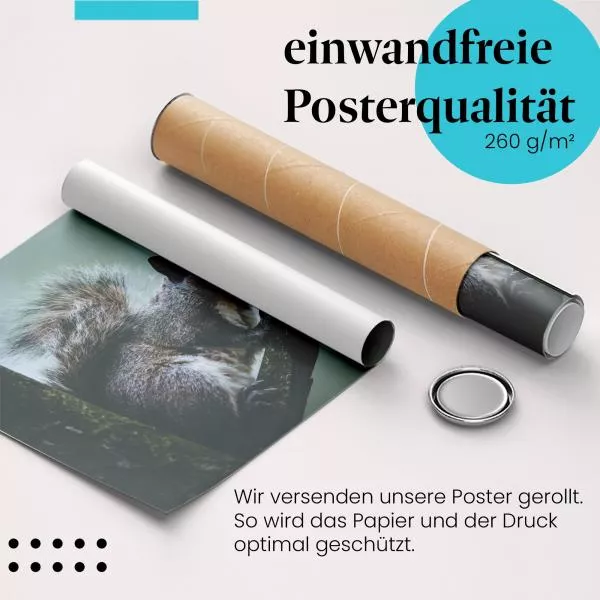 Eichhörnchen auf Ast | Postereck 2958 Eichhörnchen auf Ast | Postereck 2958