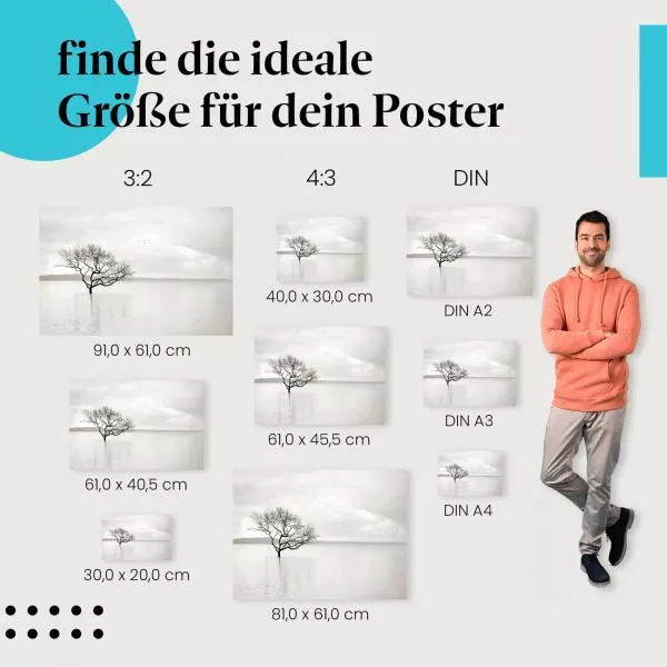 Baum im See | Postereck 3763 Baum im See | Postereck 3763