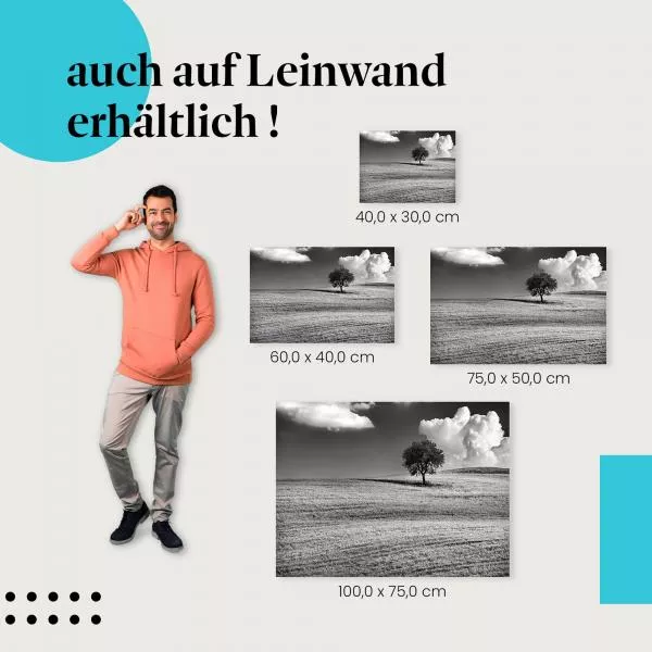 Einsamkeit in Schwarzweiß: Baum | Postereck 1319 Einsamkeit in Schwarzweiß: Baum | Postereck 1319