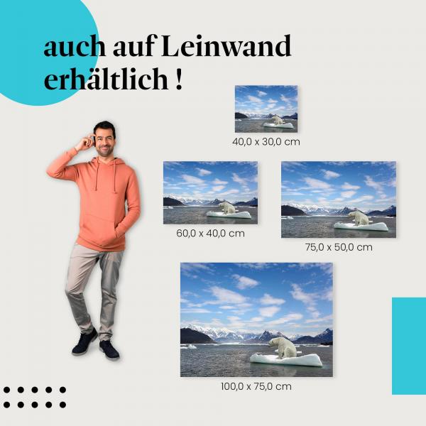 "Eisbär auf Eisscholle" Leinwandbild. Finde die ideale Größe & setze stilvolle Akzente!