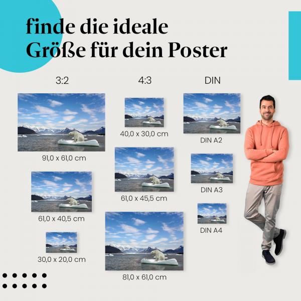 Eisbär auf Eisscholle Poster: Arktische Wildnis - verschiedene Größen.