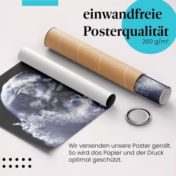 Gefrorene Seifenblase | Postereck 2357 Gefrorene Seifenblase | Postereck 2357