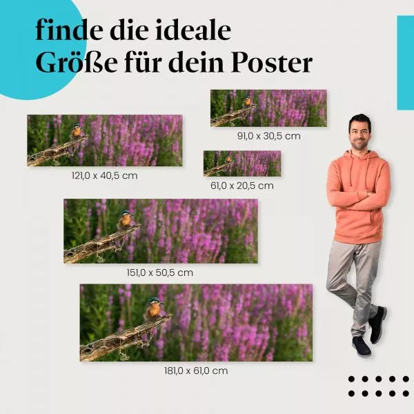 Eisvogel und Blüten | Postereck 4115 Eisvogel und Blüten | Postereck 4115