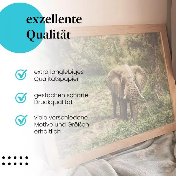 Majestätischer Elefant: Dickicht | Postereck 1277 Majestätischer Elefant: Dickicht | Postereck 1277