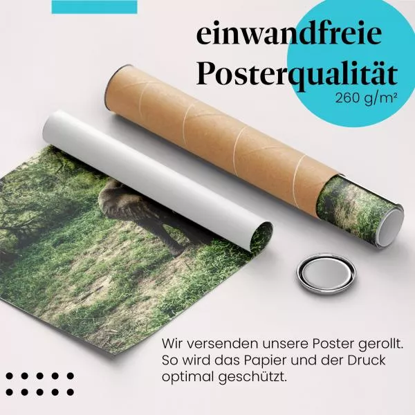 Majestätischer Elefant: Dickicht | Postereck 1277 Majestätischer Elefant: Dickicht | Postereck 1277