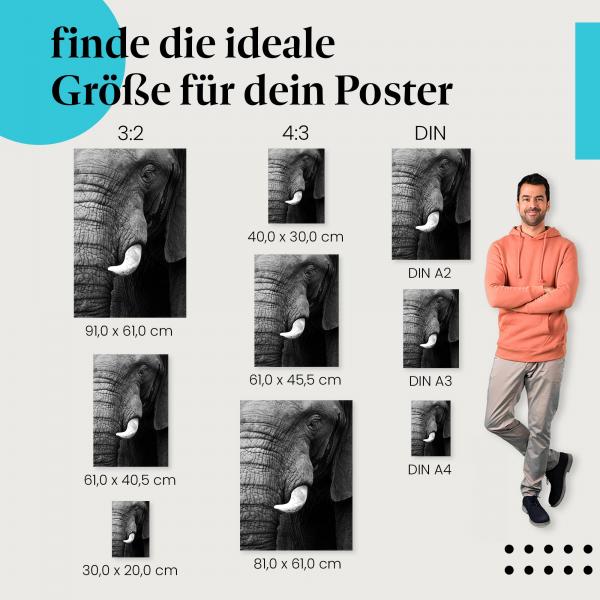 Elefant in Schwarz-Weiß Poster: Elegante Wanddeko!