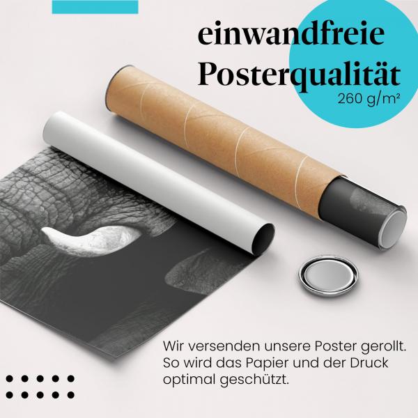 "Elefantenportrait": Gerolltes Poster - Schwarz-Weiß.